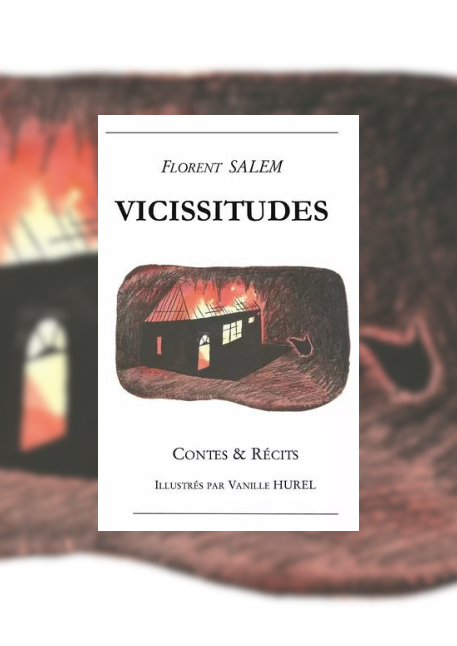 📚# Fiction _ 2023 : publication de "Vicissitudes"